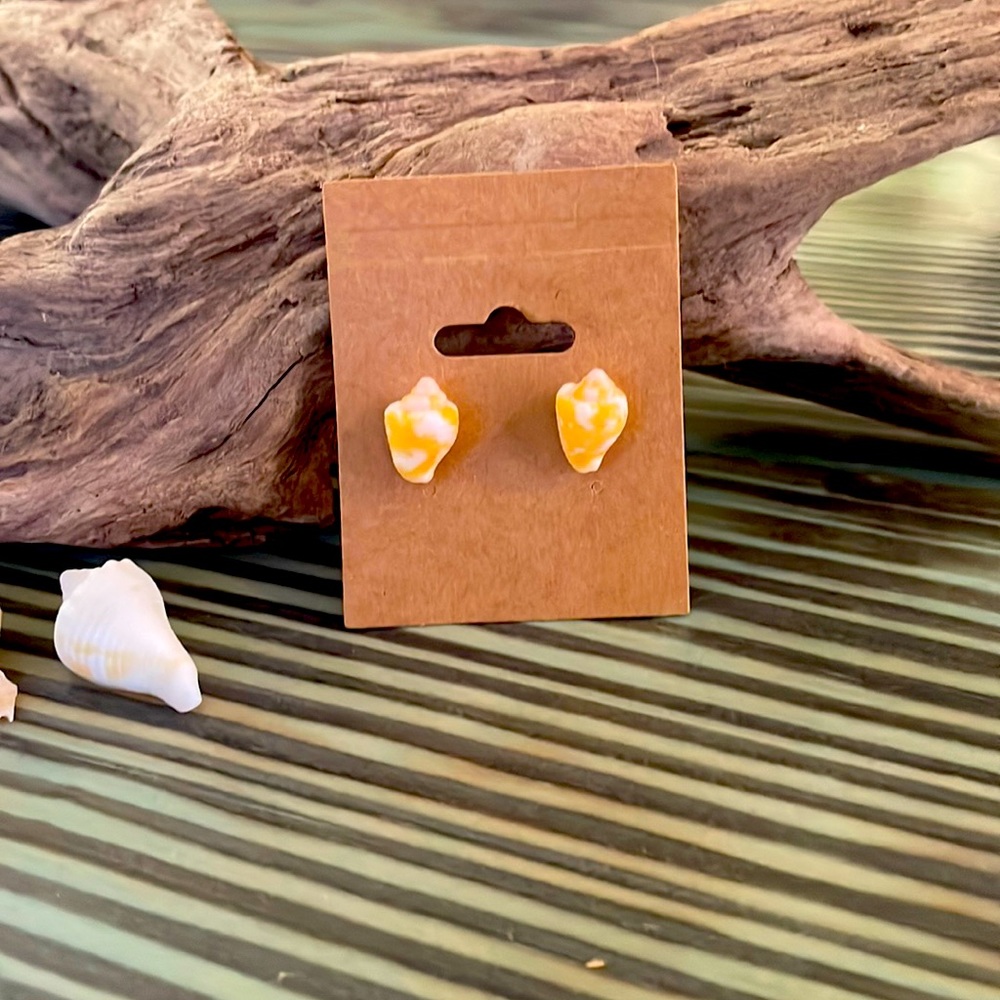 Shell earrings